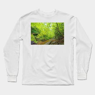 Gentle Stream Through the Woods Long Sleeve T-Shirt